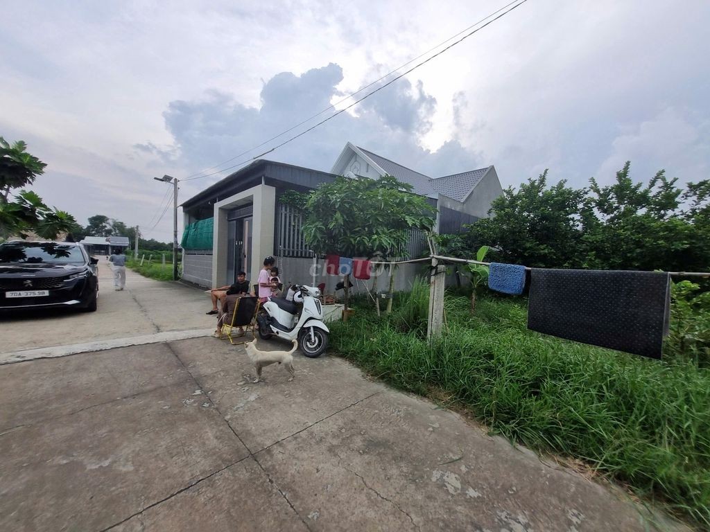 Nhà mái thái Phước Đông gần cổng KCN. 3 phòng ngủ. 2,789 tỷ - Ảnh 2