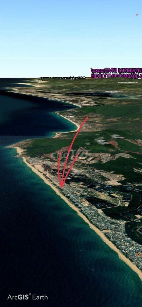 CHÍNH CHỦ BÁN ĐẤT THỔ CƯ SÁT BIỂN HOÀI NHƠN ĐÔNG CHỈ 50M ĐI BỘ RA BIỂN