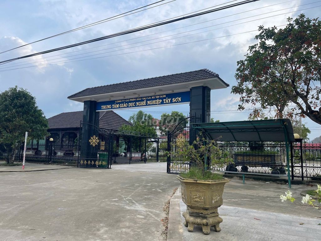 Cần bán 4500m2 đất tại Mặt Tiền Quốc Lộ 19, Tây Sơn, trường lái xe - Ảnh 1