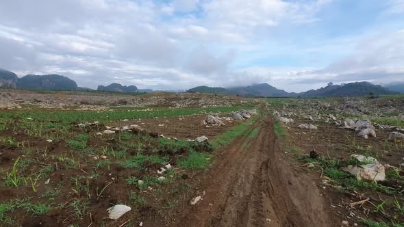 Bán 1,1 ha đất bằng phẳng rộng tại Mường Bằng Mai Sơn
