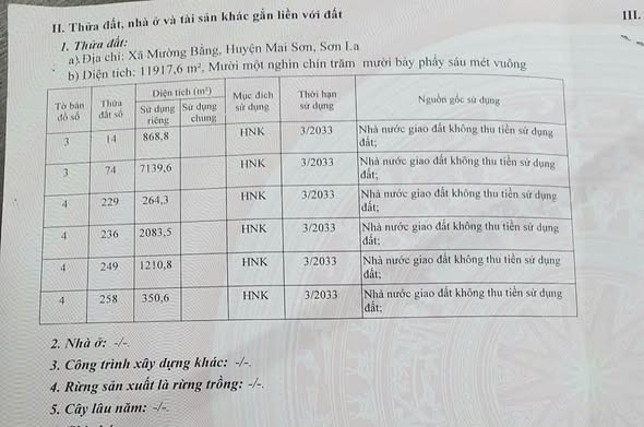 Bán 1,1 ha đất bằng phẳng rộng tại Mường Bằng Mai Sơn