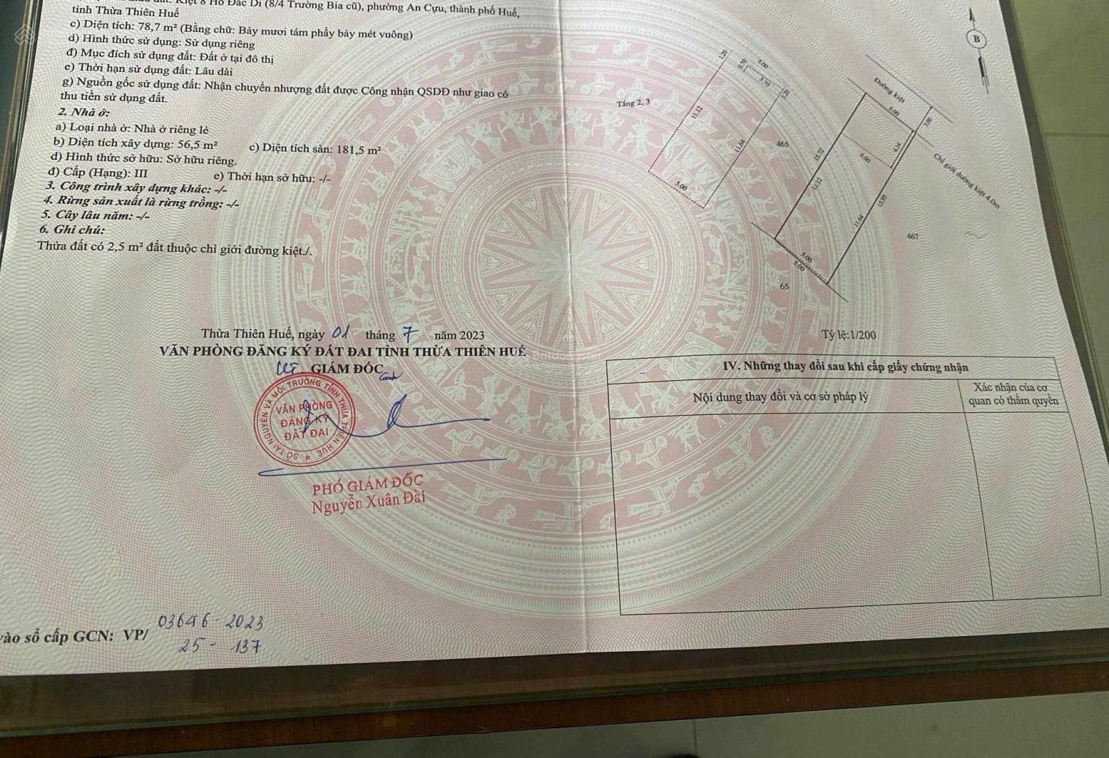 Nhà 3 tầng kiệt ô tô Hồ Đắc Di cao ráo, không lo ngập - Ảnh 1