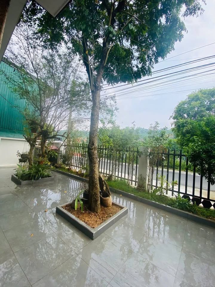 💥Bán căn biệt thự 300m2 cực xinh cách cầu Kim Tân 2km