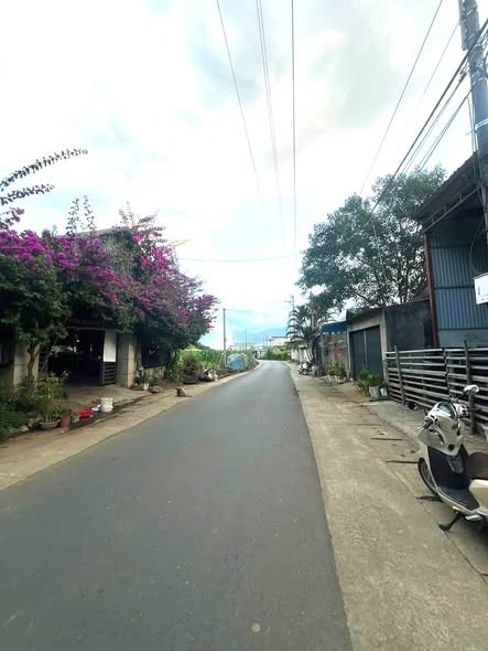 🌏 BÁN ĐẤT TẶNG NHÀ XƯỞNG – PHƯỜNG TÂN PHONG, TỈNH LAI CHÂU 🔥