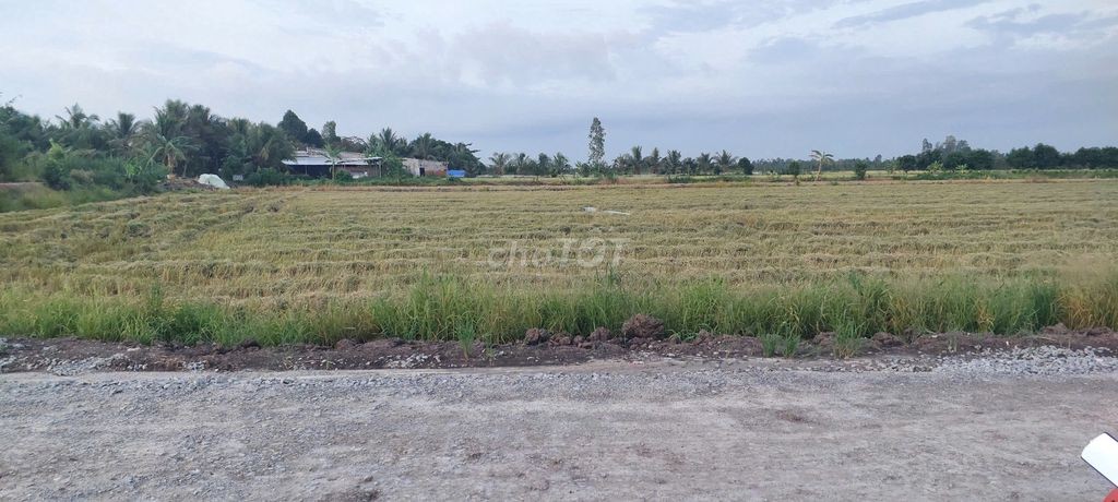 Bán 5 công đất.công tầm lớn
