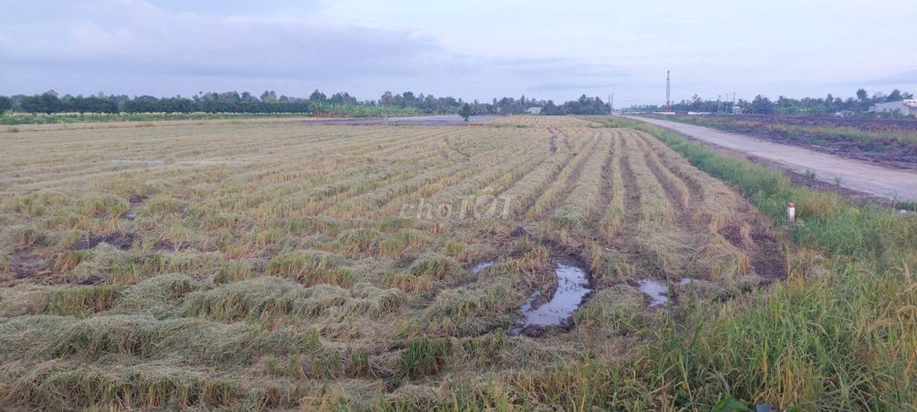 Bán 5 công đất.công tầm lớn