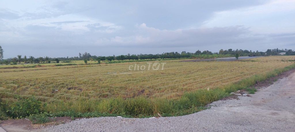 Bán 5 công đất.công tầm lớn