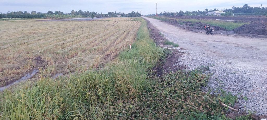 Bán 5 công đất.công tầm lớn