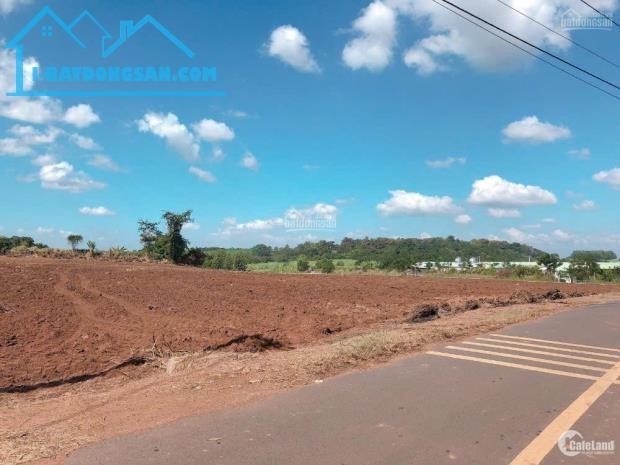 BÁN 1.368M² ĐẤT – NGANG 13M, DÀI 106M TẠI LA NGÀ
