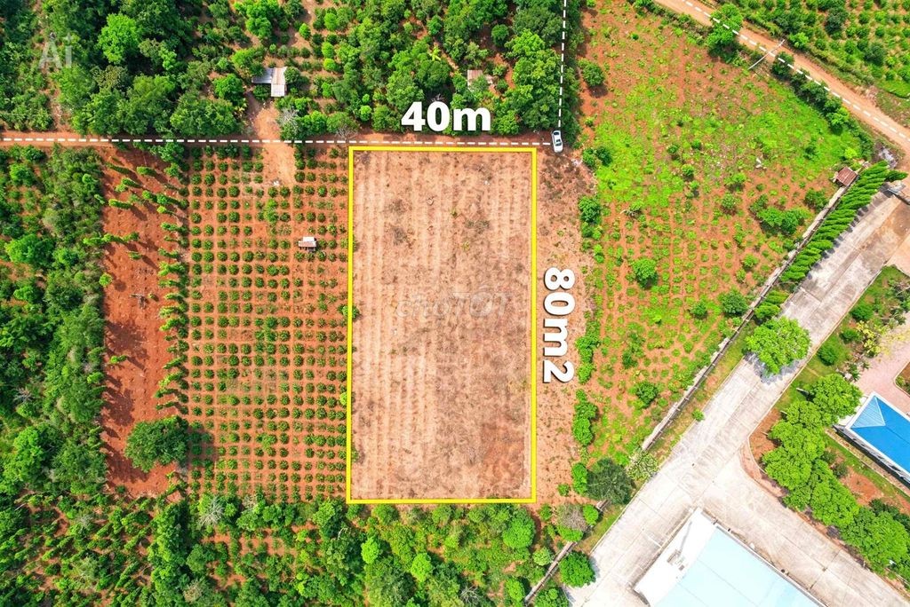 3,2 sào sát bên KCN Tân An hẻm cấp 1 Vành Đai chỉ 4 tỷ Quỳnh Anh