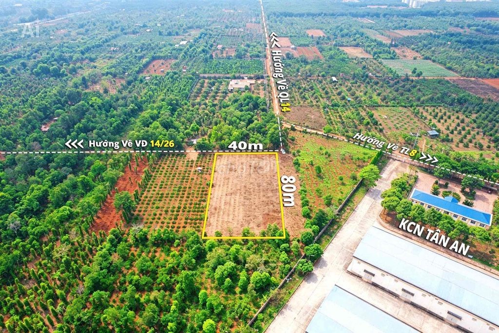 3,2 sào sát bên KCN Tân An hẻm cấp 1 Vành Đai chỉ 4 tỷ Quỳnh Anh