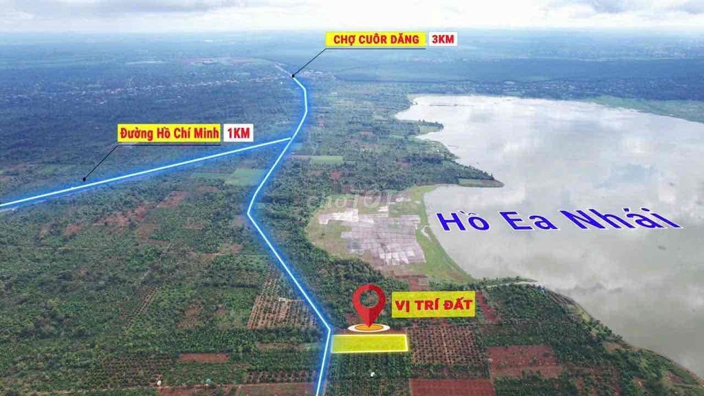 2,1 sào mặt tiền đường nhựa Vành Đai km18 nối tuyến QL14-QL26 1,3 tỷ/s - Ảnh 3