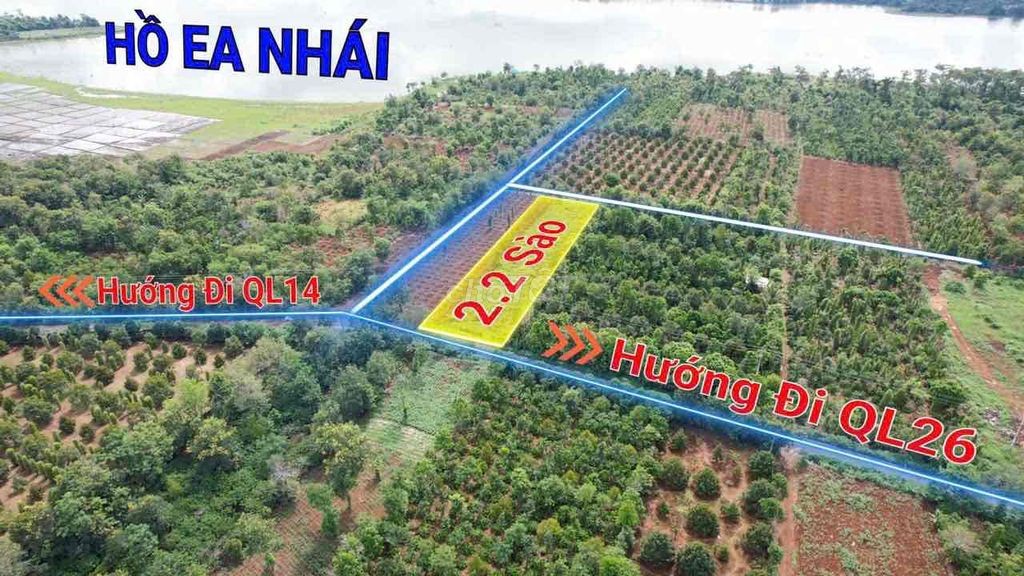 2,1 sào mặt tiền đường nhựa Vành Đai km18 nối tuyến QL14-QL26 1,3 tỷ/s - Ảnh 5