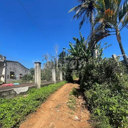 10x43m thổ cư 180m2 góc 2 mặt hẻm buôn Riêng B km19 Eaknuec - Ảnh 3