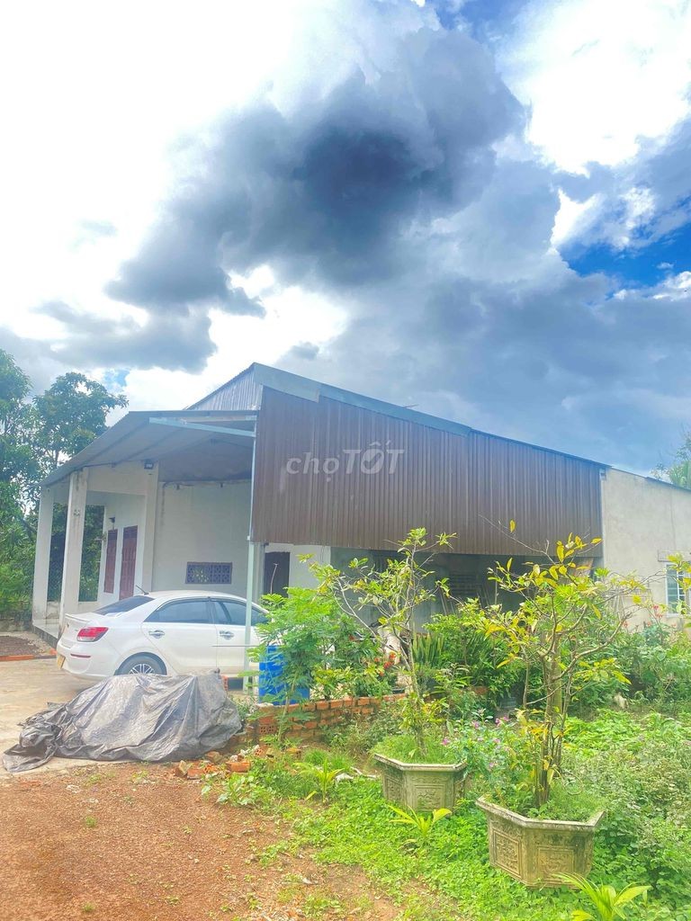 cần bán đất chỉnh chủ - Ảnh 5