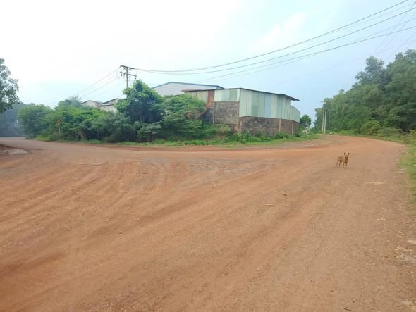BÁN LÔ ĐẤT HƠN 1000M2 THUỘC TÂN AN _VĨNH CỬU ĐN 👉 Giá đầu tư chỉ 1tỉ100 tr