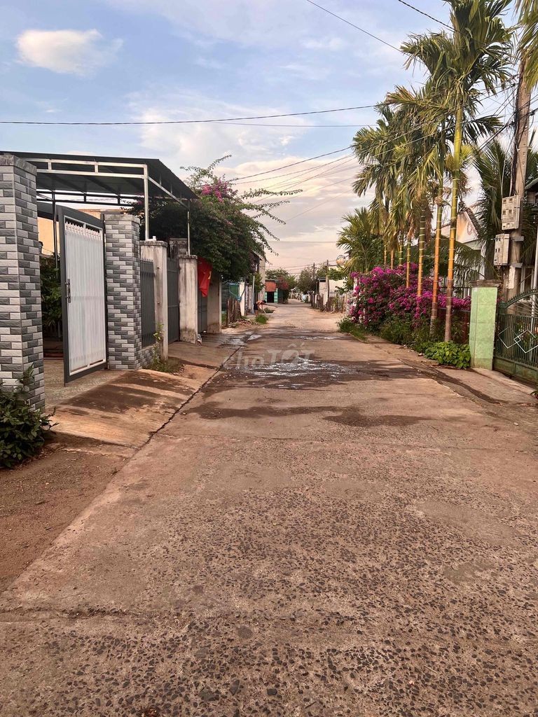 Cần bán đất đối diện chợ Đoàn Kết, xã Hoà Khánh cũ. cách trung tâm 9km - Ảnh 3