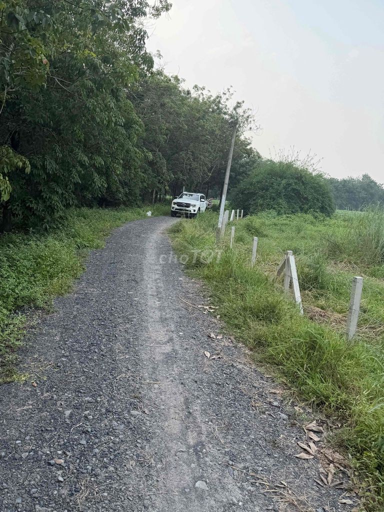 Bán Đất Giá Ngộp Giá Rẽ - Ảnh 5