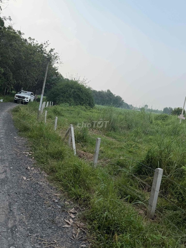 Bán Đất Giá Ngộp Giá Rẽ - Ảnh 7