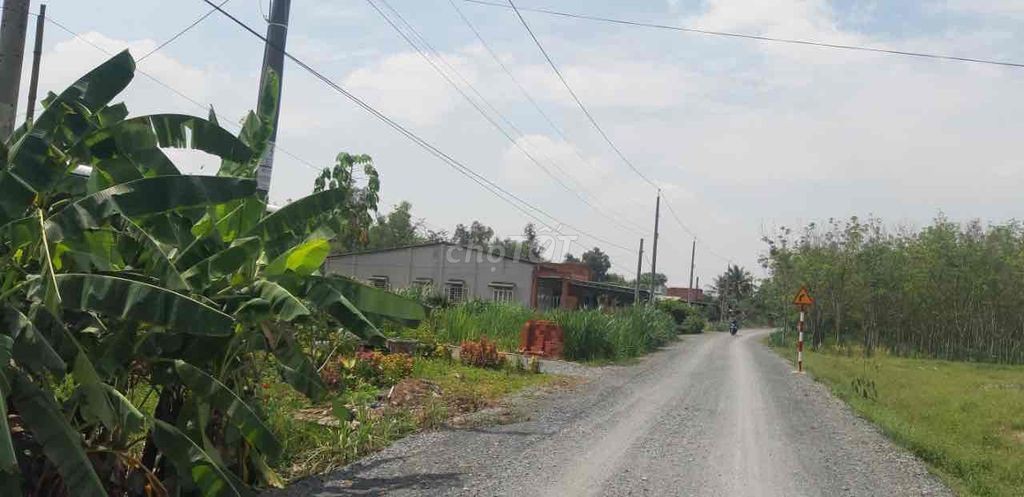 Bán đất chính chủ - Ảnh 4