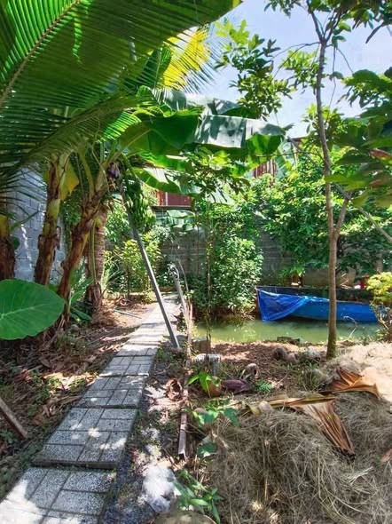 Bán Nhà Vườn Phường Bửu Long - Ảnh 1