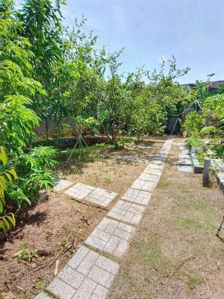 Bán Nhà Vườn Phường Bửu Long - Ảnh 2