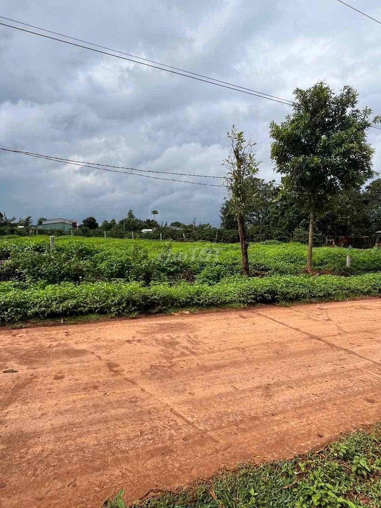 rẻ 10m x 40m có thổ cư, đường bê tông