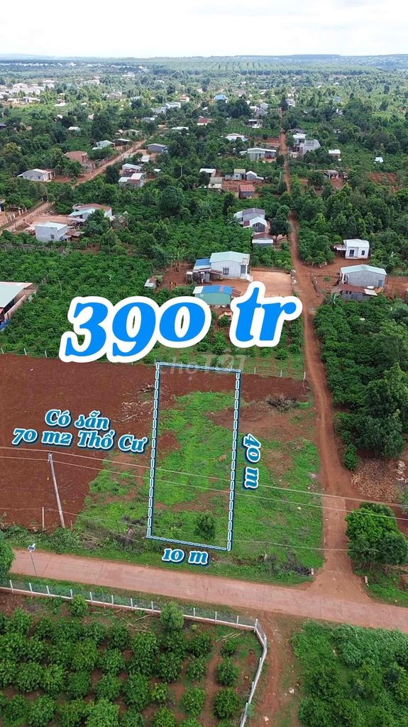 rẻ 10m x 40m có thổ cư, đường bê tông