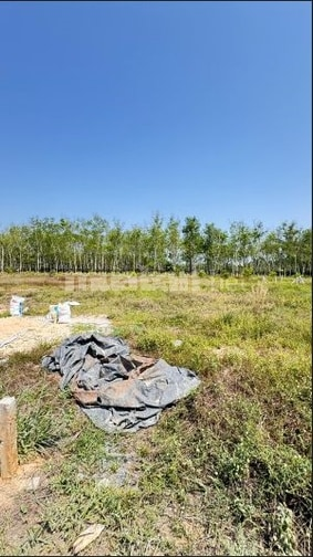 BÁN ĐẤT TẠI THỊ XÃ TRẢNG BÀNG, TỈNH TÂY NINH - Ảnh 2