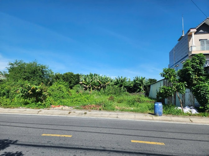 Đất Trung Tâm Trảng Bàng 187m2 đất đô thị ODT, chỉ 1 tỷ 290, gần chợ - Ảnh 5