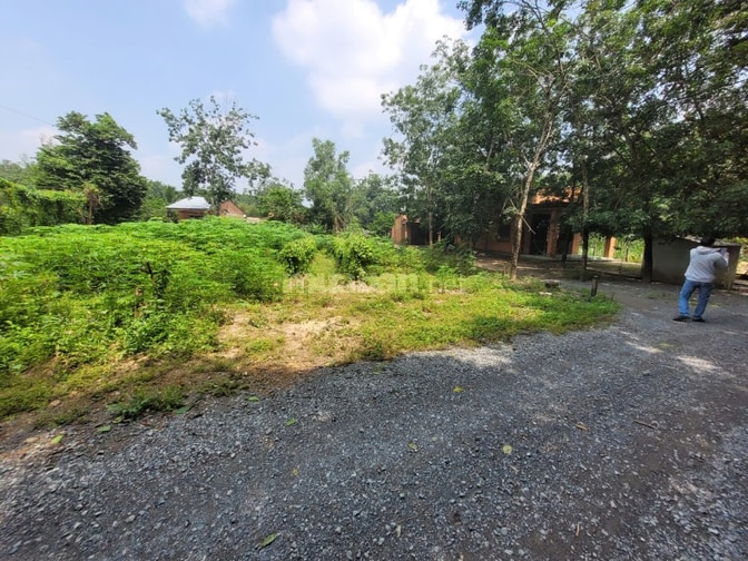 952m2 có thổ ngay cầu Thanh An, cảng Hưng Thuận. 2,1 tỷ - Ảnh 6