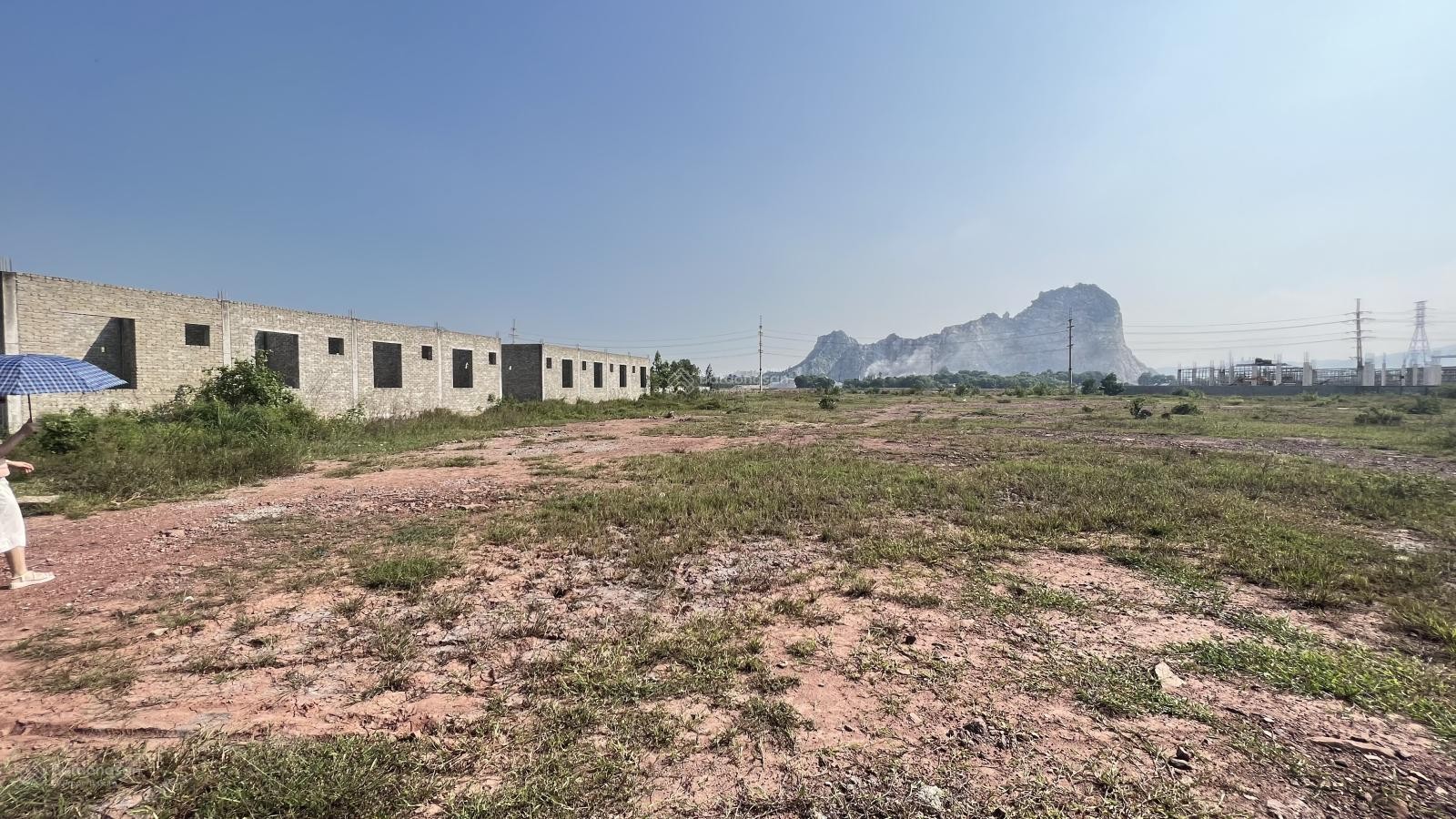 Bán gấp đất sản xuất thương mại 15.000m2 tại Nghi Sơn, giá siêu hời, thuận tiện giao thông - Ảnh 1