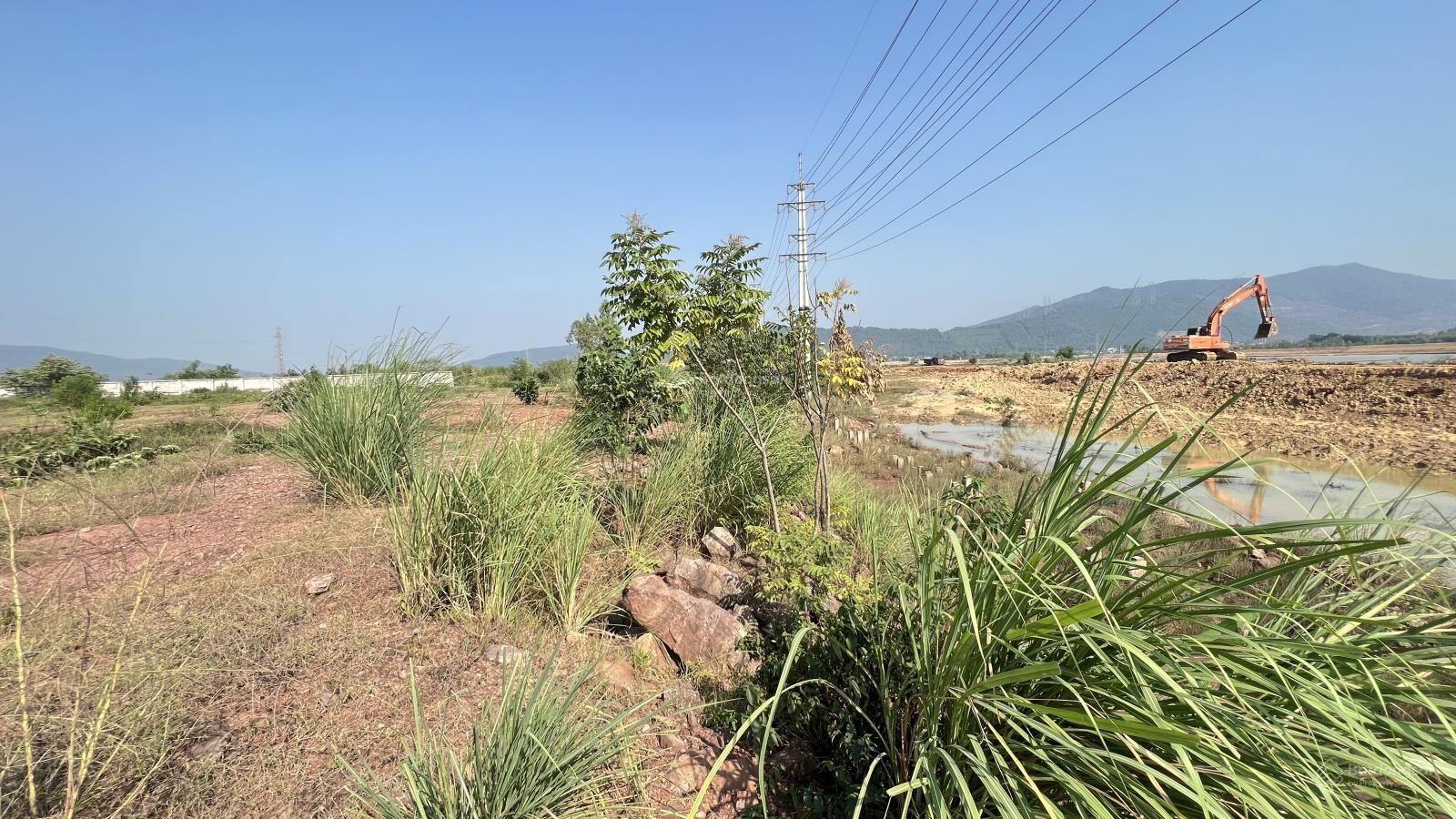 Bán gấp đất sản xuất thương mại 15.000m2 tại Nghi Sơn, giá siêu hời, thuận tiện giao thông - Ảnh 5