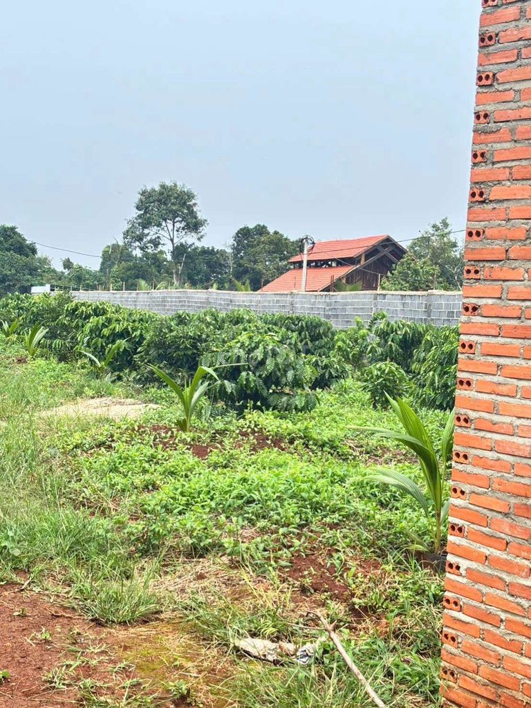 1 Sào mặt tiền đường nhựa Y Moal - Ảnh 1