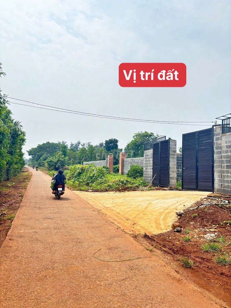 1 Sào mặt tiền đường nhựa Y Moal - Ảnh 3