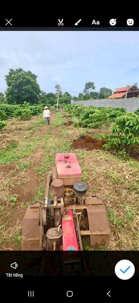 1 Sào mặt tiền đường nhựa Y Moal - Ảnh 4