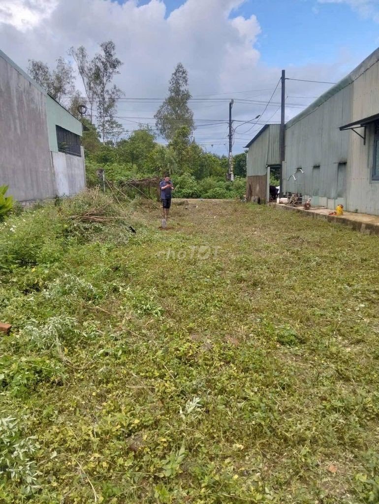BÁN ĐẤT MẶT TIỀN ĐƯỜNG LÝ CHÍNH THẮNG – PLEIKU