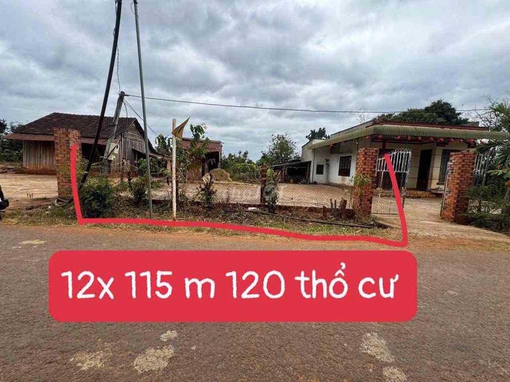 Bán đất mặt tiền đường nhựa cưmnga Dt : 12 x115 mét Tc : 120 m2 Giá 9 - Ảnh 3