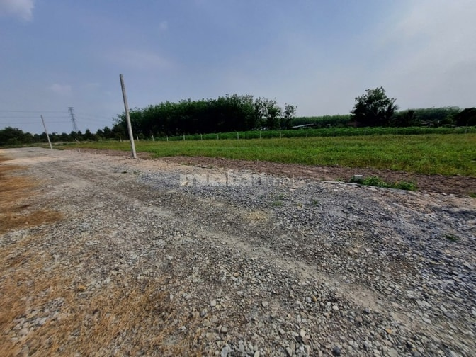178m2 thổ cư đất cập bên KCN Phước Đông. 4xx. Có trả có bán - Ảnh 3