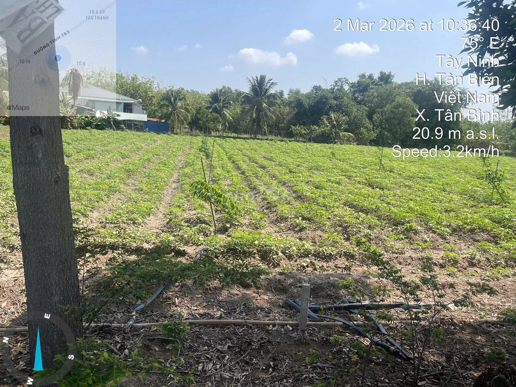 Bán đất mặt tiền Tân Biên, Tây Ninh (Thổ cư 400m2) diện tích 1798,4m2