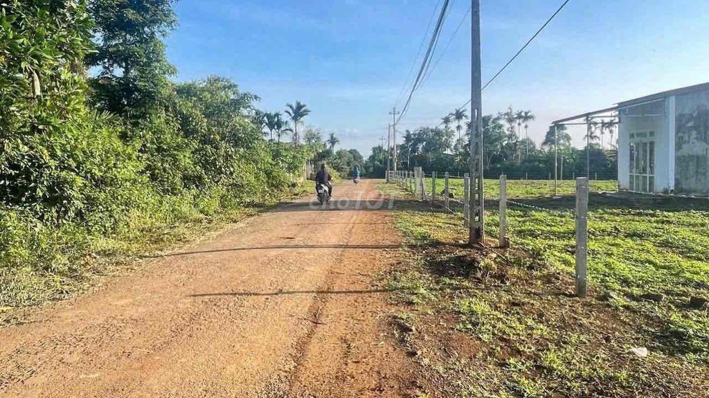 ĐẤT KOMLEO PHƯỜNG TÂN LẬP - Ảnh 2
