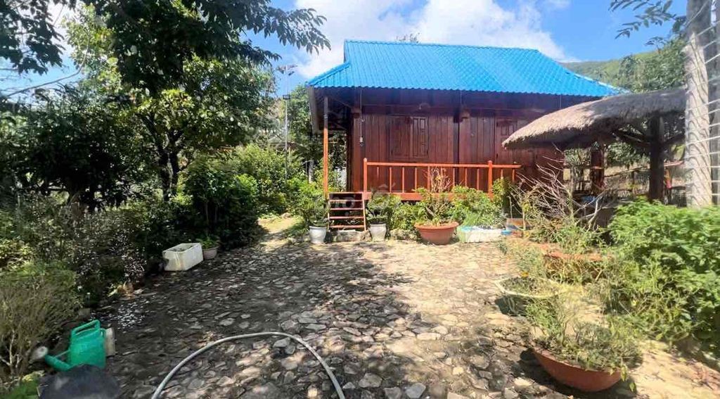 CHO THUÊ 3 NHÀ SÂN VƯỜN NGHỈ DƯỠNG BIỆT LẬP 2000m2 - Ảnh 4