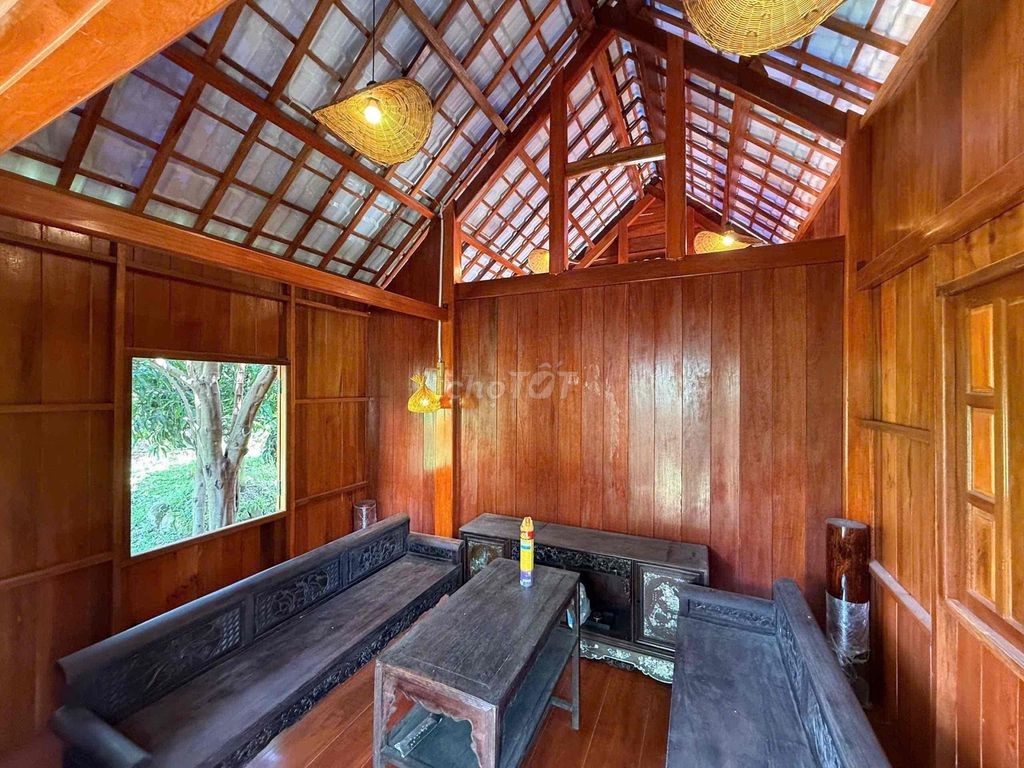 CHO THUÊ 3 NHÀ SÂN VƯỜN NGHỈ DƯỠNG BIỆT LẬP 2000m2 - Ảnh 6