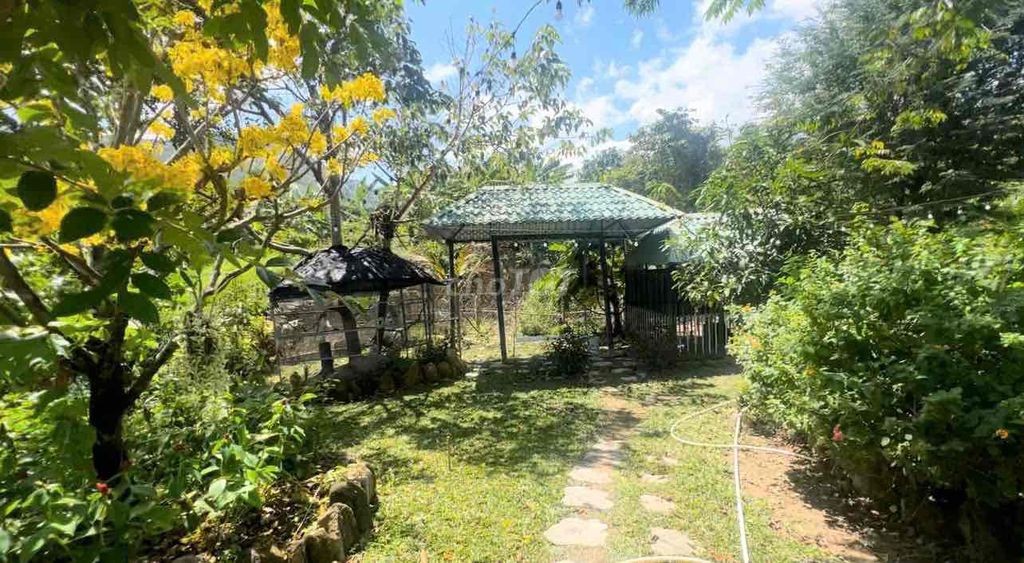 CHO THUÊ 3 NHÀ SÂN VƯỜN NGHỈ DƯỠNG BIỆT LẬP 2000m2 - Ảnh 10