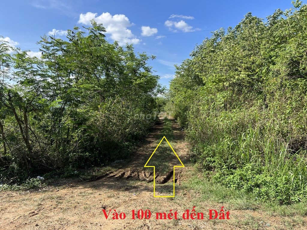 🌳 🌳 7 sào đất tại huyện Ea Kar, tỉnh Daklak 🌳 🌳 - Ảnh 3