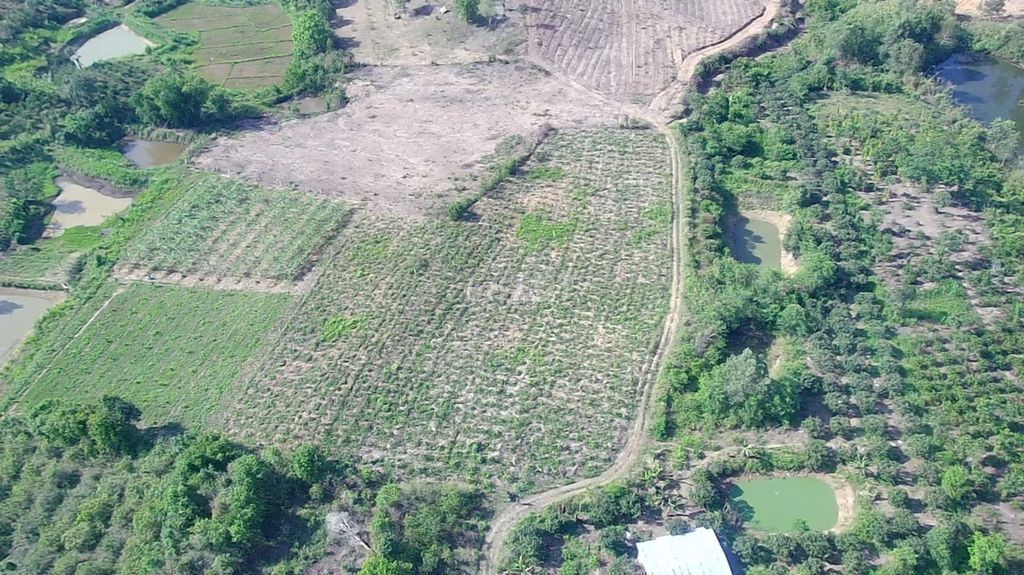 🌳 🌳 7 sào đất tại huyện Ea Kar, tỉnh Daklak 🌳 🌳 - Ảnh 6