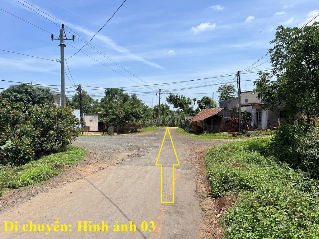 🌳 🌳 8 sào gỗ tếch tại Daklak 🌳 🌳 - Ảnh 2
