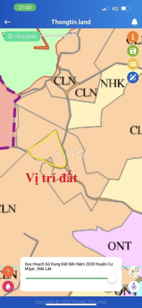 🌳 🌳 8 sào gỗ tếch tại Daklak 🌳 🌳 - Ảnh 3