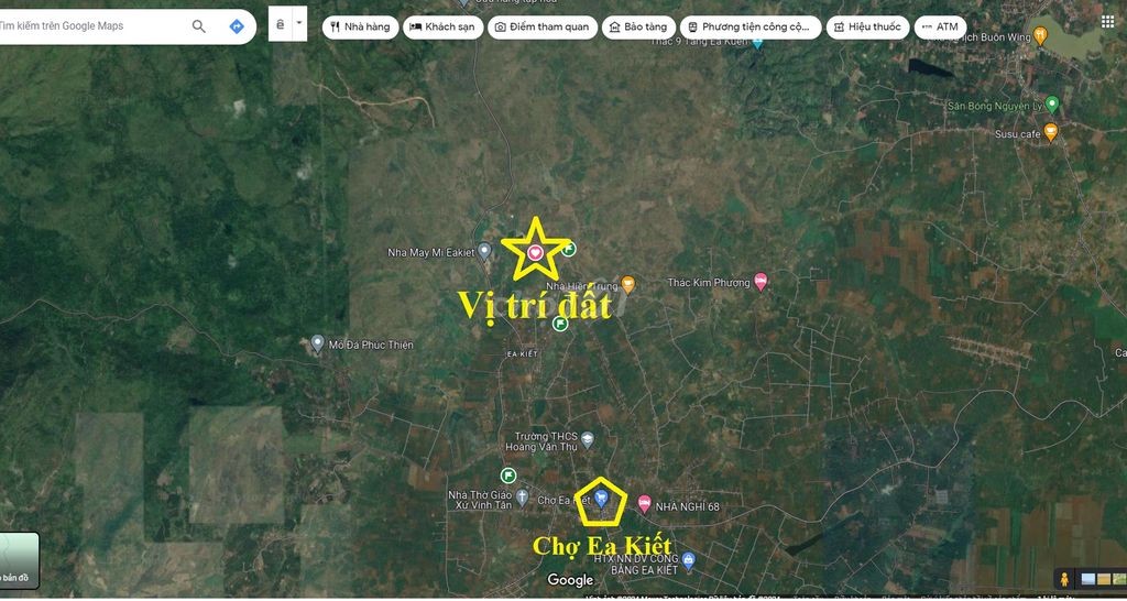 🌳 🌳 8 sào gỗ tếch tại Daklak 🌳 🌳 - Ảnh 10