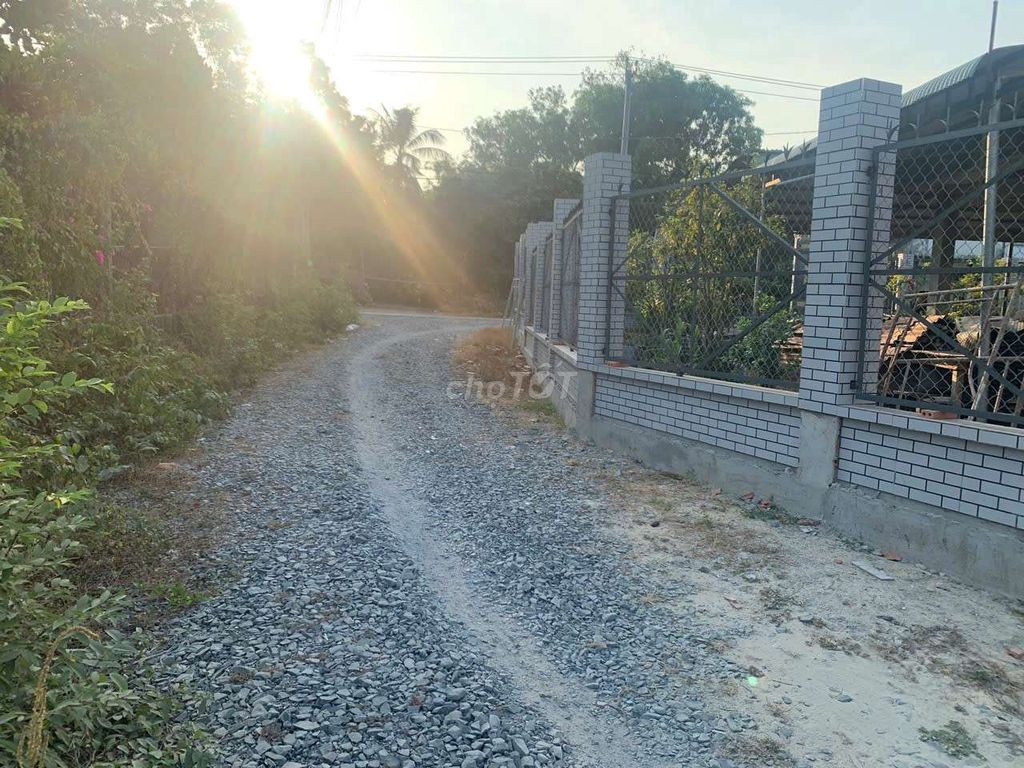 Bán Đất SHR,chính chủ, 725m,TC470m, sát UBND xã Thạnh Đức,Tây Ninh - Ảnh 1